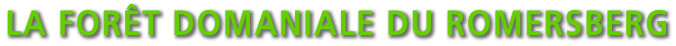 La for�t domaniale du Romersberg